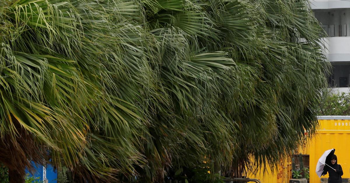 Kvůli tajfunu Bavi ruší Japonsko, Tchaj-wan a Čína lety, Filipíny už mají mrtvé