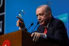 NATO leaders' summit in Ankara