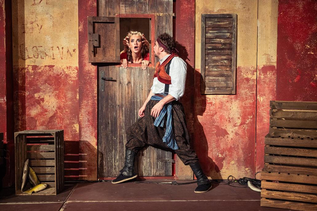 Premiérou letošních Letních shakespearovských slavností je Komedie omylů v režii Vojtěcha Štěpánka.