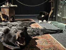 Návštěvníci tak lépe pochopí, proč tehdejším čtenářům připadaly Holmesovy metody téměř nadpřirozené, přestože vycházely z nejmodernějších vědeckých poznatků své doby.
