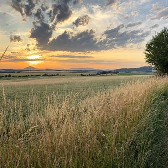 Okolí kaple láká k objevování i klidnému bytí. Jen pár minut odtud najdete Máchovo jezero s plážemi a vodními sporty, v blízkém okolí pak lesy, pískovcové skály a romantické vyhlídky.