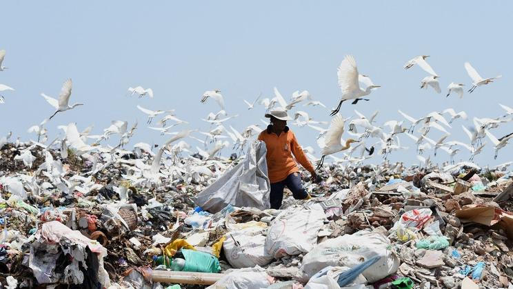 Pracovníci na skládkách třídí odpad a sbírají recyklovatelné materiály. Jsou vystaveni ostrým předmětům, toxickým látkám a biologickým rizikům, například nakažlivým nemocem. Pracují v nesnesitelném zápachu a často v horku nebo dešti. Skládka na předměstí srílanského Kolomba, 20. dubna 2017.