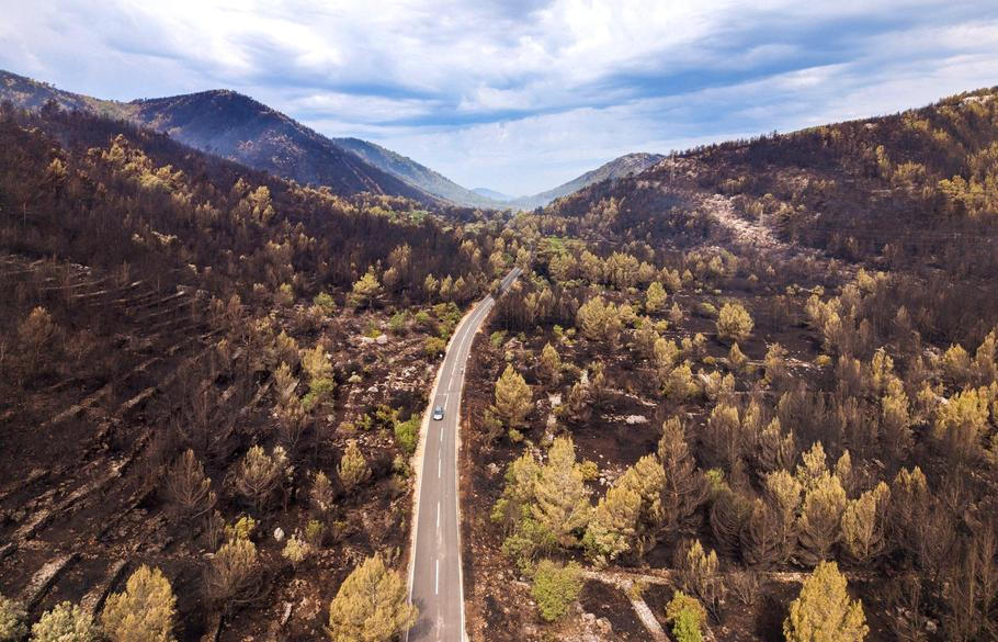 Drone view shows burned forest after wildfire near Blato on the island Korcula