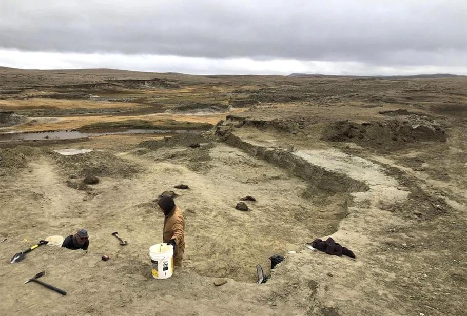 Gus byl objeven v oblasti Badlands v Jižní Dakotě.
