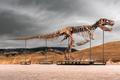 Sotheby's vydražila kostru tyranosaura Guse.