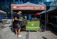 Zdeněk Matoušek, Pizzakolem