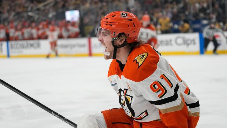 Ducks Golden Knights Hockey