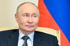 Russian President Vladimir Putin meets with Uzbek President Shavkat Mirziyoyev in Strelna