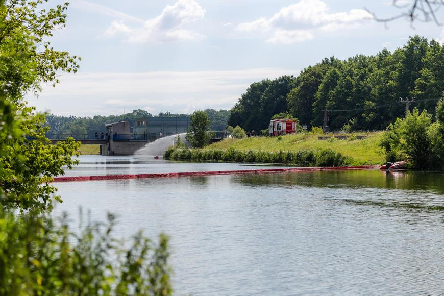 Teplé počasí dostihlo i řeky: půl tuna ryb v Dyji uhynula kvůli nedostatku kyslíku