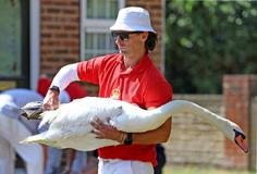 Swan Upping 2026