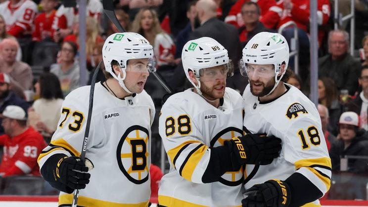 Bruins Red Wings Hockey