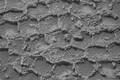 Marsovské vozítko Curiosity agentury NASA pořídilo tento snímek polygonálních útvarů pomocí své kamery Mast Camera 21. června 2026, během 4932. marťanského dne mise.