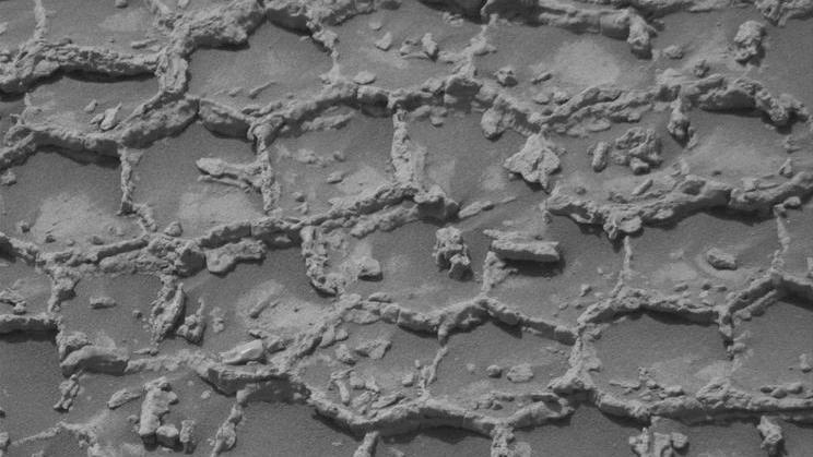 Marsovské vozítko Curiosity agentury NASA pořídilo tento snímek polygonálních útvarů pomocí své kamery Mast Camera 21. června 2026, během 4932. marťanského dne mise.
