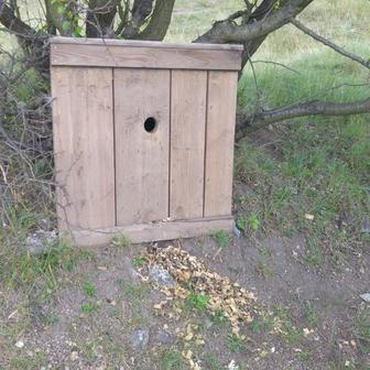 Dudníky se na rozdíl od jiných ptačích budek umísťují na zem.
