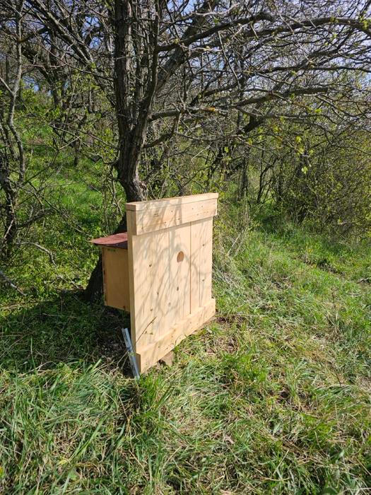 Nově umístěný dudník, v okolí Brna už jich je díky Zoo Brno a kurátorovi Petru Šrámkovi 32.