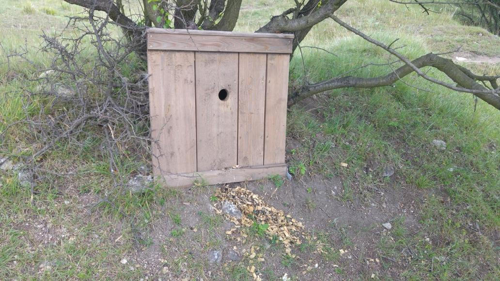 Dudníky se na rozdíl od jiných ptačích budek umísťují na zem.