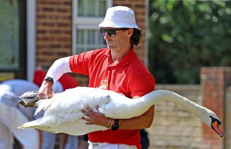 Swan Upping 2026