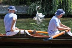 Swan Upping 2026