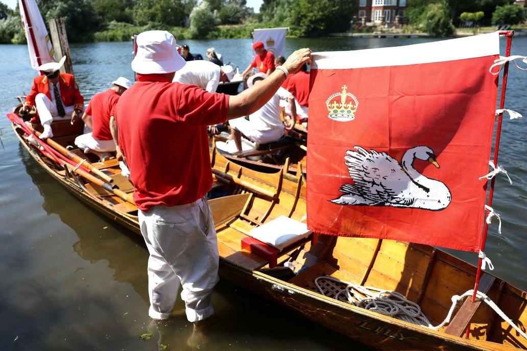 Swan Upping 2026