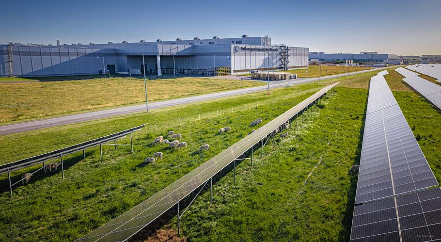 Ovce na solární farmě Volkswagenu v Poznani