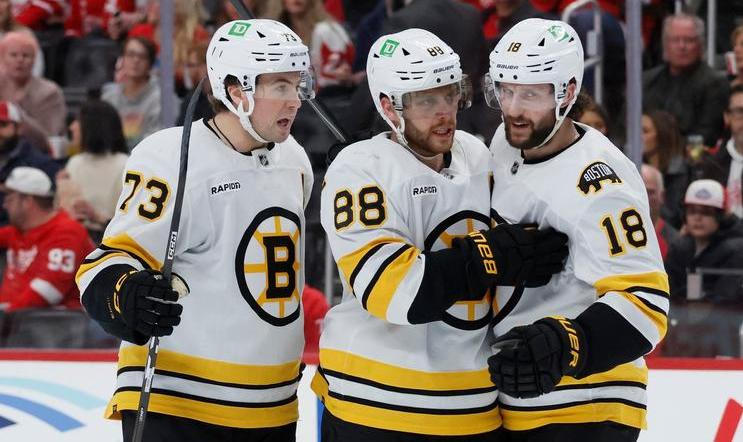 Bruins Red Wings Hockey