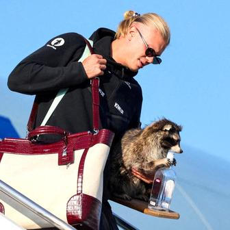 Norway's national football team lands at Oslo Airport, in Gardermoen