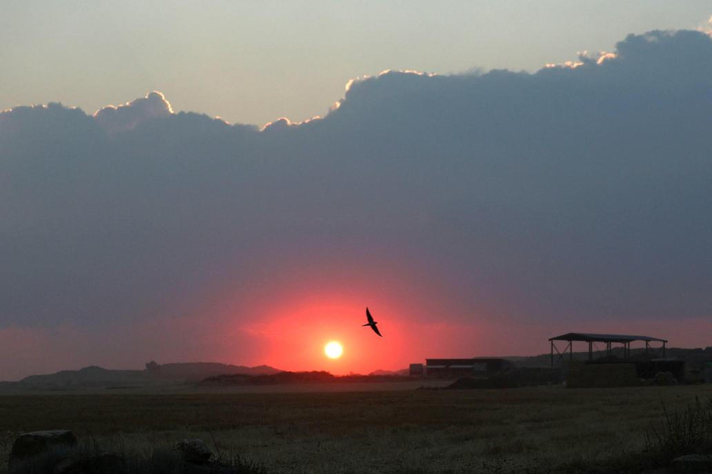 Wildfire in Zaragoza province, Spain