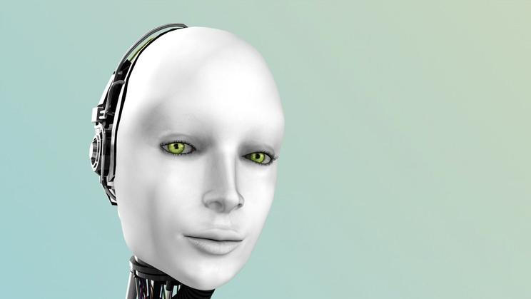 Robot