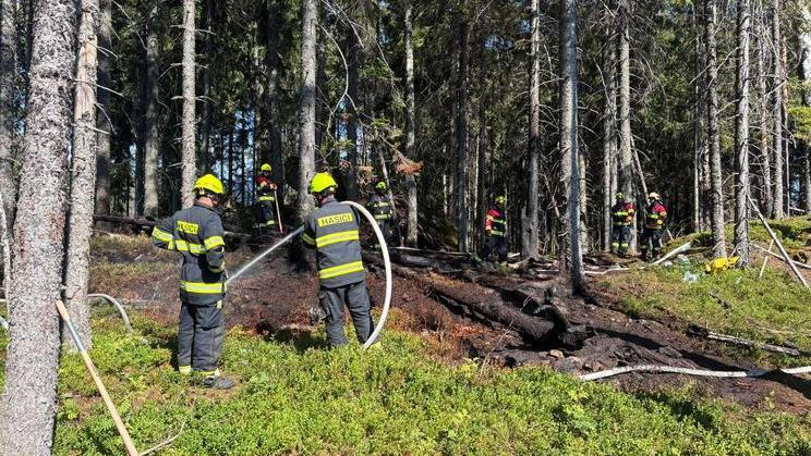 Požár lesa v NP Šumava u Stožce.