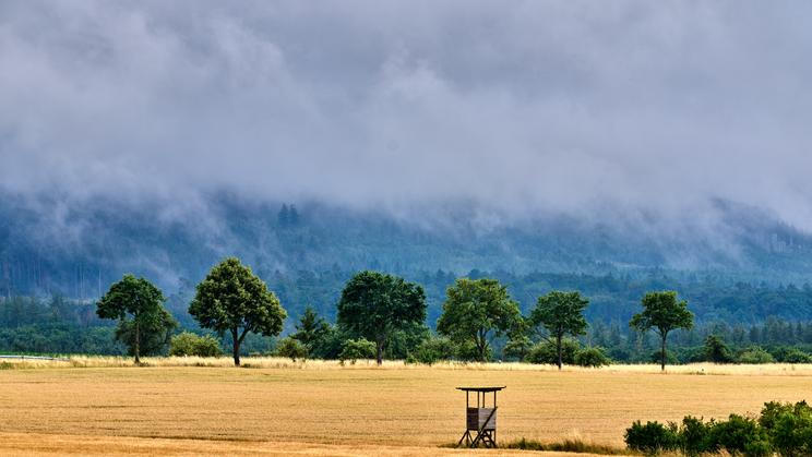Ilustrační foto.
