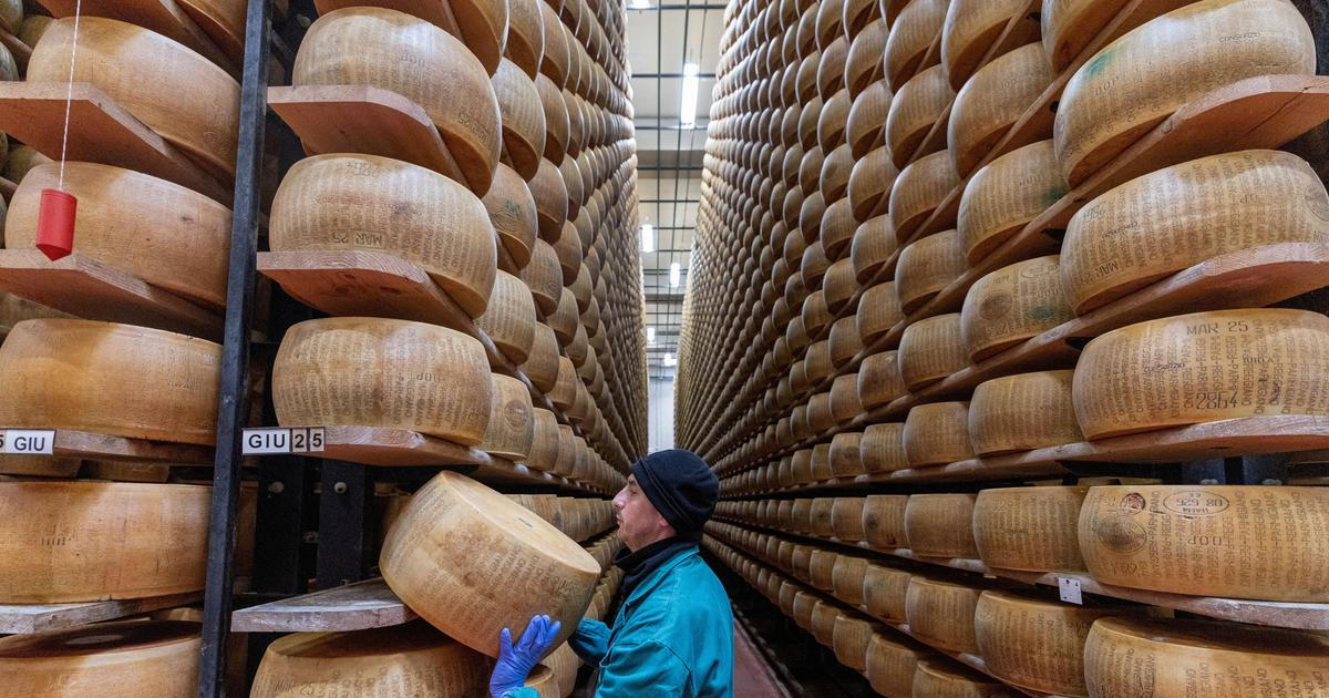 Vlny veder už dotírají i na italskou delikatesu. Sýraři se bojí konce 800 let staré tradice