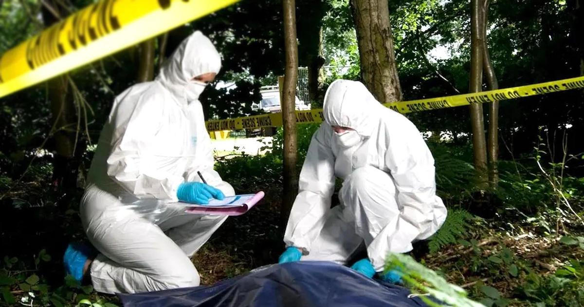 Záhadný vrah z bruntálských lesů má vyhráno. Policie našla u ženy jeho DNA, ale nestačilo to