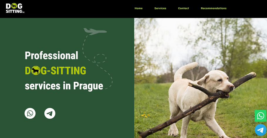 Dogsitting.cz nabízí hlídání psů v domácnosti klientů i další služby spojené s péčí o domácí mazlíčky. Na sociálních sítích se v souvislosti se službou objevila řada kritických zkušeností klientů.