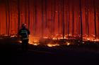 Wildfire in the Gironde department