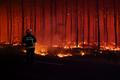 Wildfire in the Gironde department