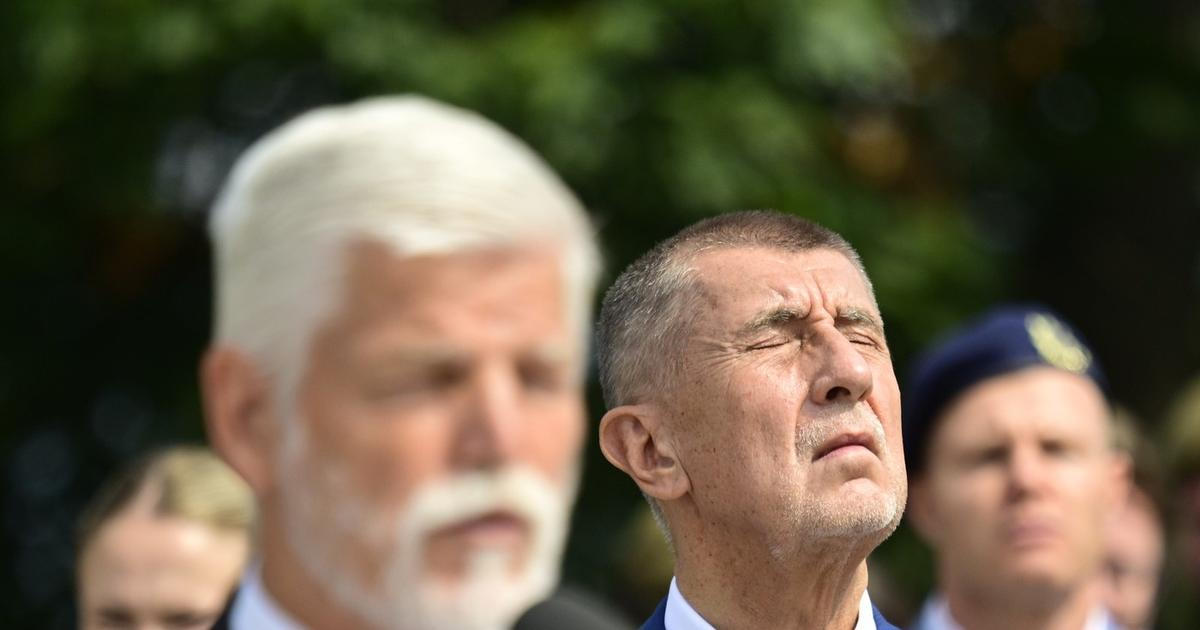 „Vláda v boji s Pavlem míří jinam.“ Ústavní expertka odhaluje slabiny Babiše a spol.