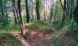 Boj o Doss‘ Alto stál životy sedmi legionářů, přes třicet dalších bylo raněno. Pět zajatých bylo druhého dne za vlastizradu Rakousko-uherské monarchie odsouzeno k trestu smrti oběšením, jednomu z nich byl pro nízký věk trest změněn na dvacet let žaláře. 