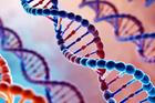 Gene,Therapy,Sized,For,Linkedin,No,People