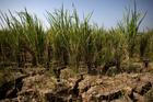 Residents collect emergency water supplies in Indonesia's drought-hit Bekasi regency