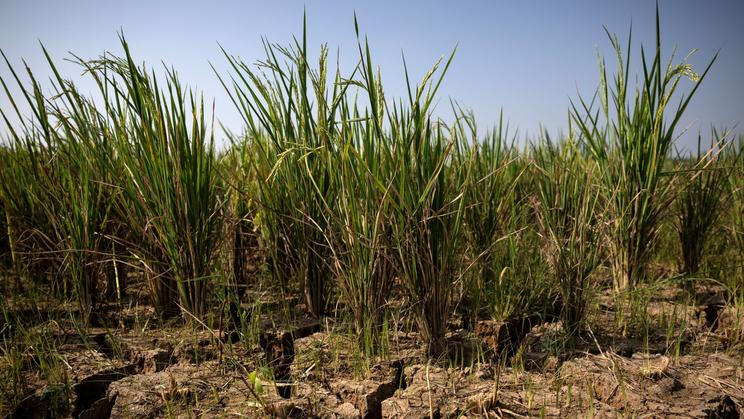 Residents collect emergency water supplies in Indonesia's drought-hit Bekasi regency