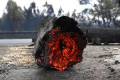 France Wildfires