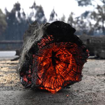 France Wildfires