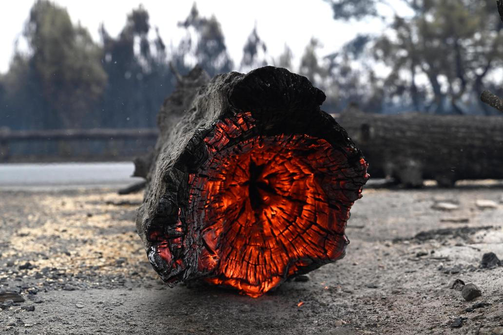 France Wildfires