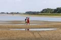 Low water levels on the Danube River in Apatin