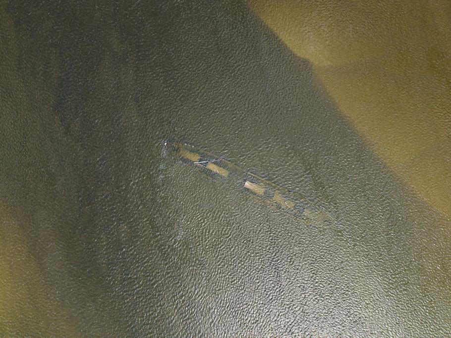 A drone view shows the wreck from 1937 of the Hungarian cargo ship Fulton in the Danube River near Opatovac