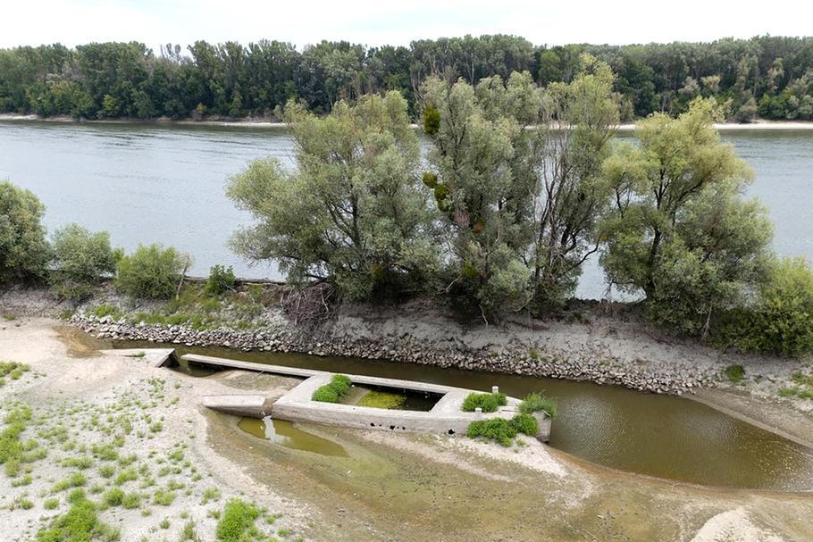 Vraky lodí se vynořují z Dunaje kvůli rekordně nízké hladině vody.