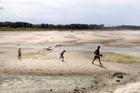 Low water levels on the Danube River in Apatin