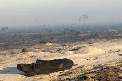 Smoke and fog in a burnt forest affected by a wildfire, near Saumos