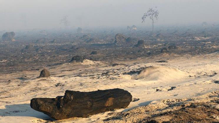 Smoke and fog in a burnt forest affected by a wildfire, near Saumos