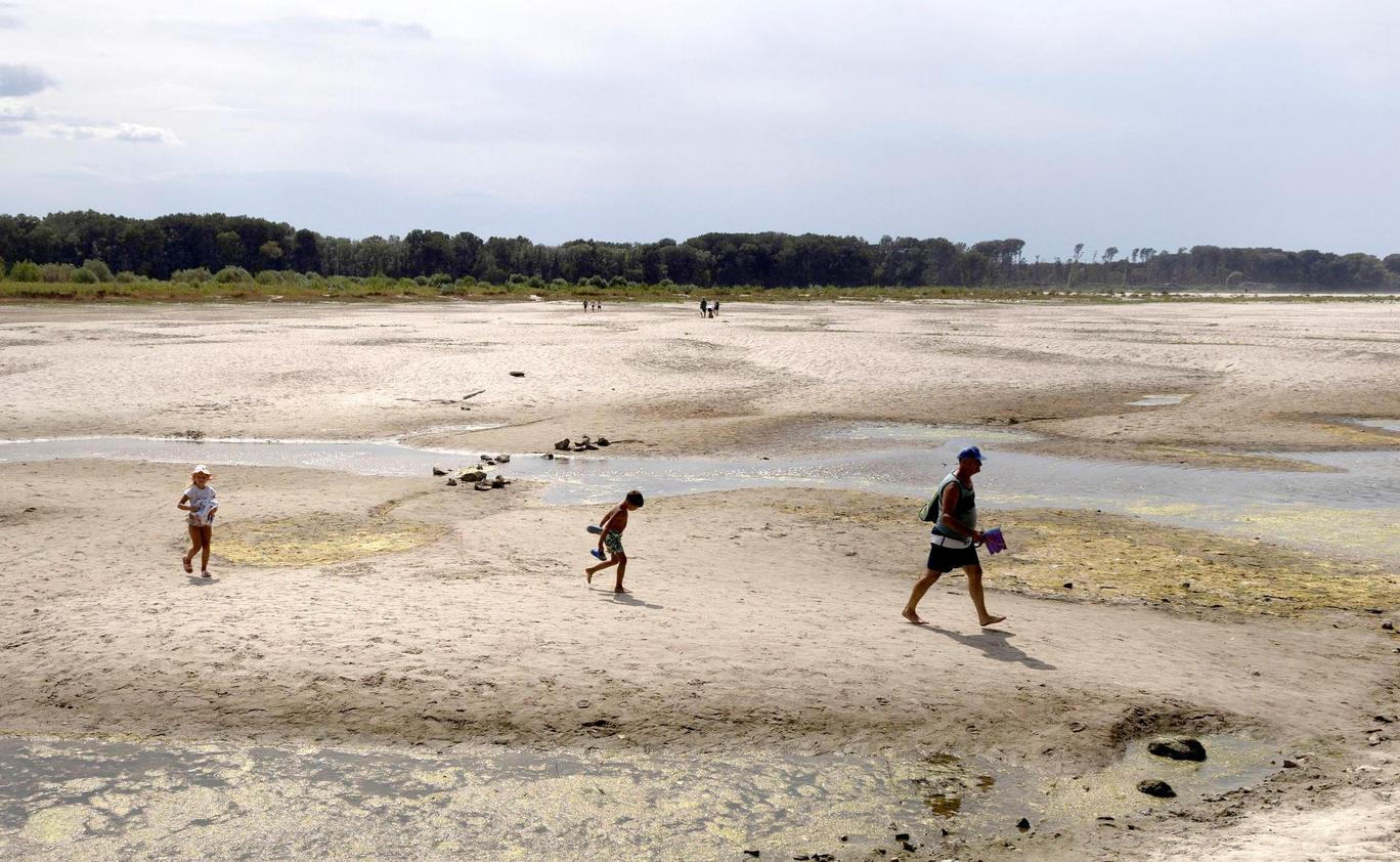 Low water levels on the Danube River in Apatin